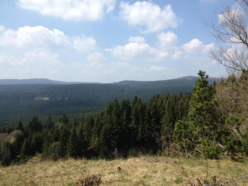 Hostel & Hotel Braunlage Zewnętrze zdjęcie